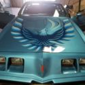 1980 Trans Am 301 Turbo V8 Firebird with 60,600 original miles