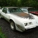 1980 Trans Am Pace car turbo