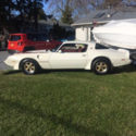 1980 TURBO TRANS AM BARN FIND