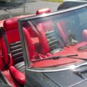 1981 Alfa Romeo Spider
