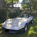 1981 All Original Matching Numbers Survivor