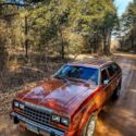 1981 AMC Eagle Orange 4WD Automatic 30 LIMITED