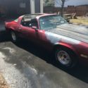 1981 Camaro Z28 - SBC 350+T10 Man Trans