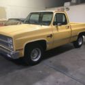 1981 Chevorlet C-10 Factory V8 A/C  Arizona Surviver Rust Free