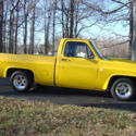 1981 CHEVROLET 1500 SHORTBED