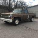 1981 Chevrolet C10 Deluxe Standard Cab Pickup Short Box 2wd