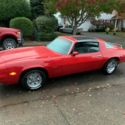 1981 Chevrolet Camaro Berlinetta T Tops