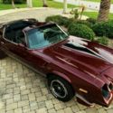 1981 Chevrolet Camaro Z28 Collector Camaro 4-Speed / T-Top / Factory Air