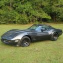 1981 Chevrolet Corvette. New Paint Relly Nice Driver NO RESERVE