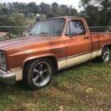 1981 Chevrolet Squarebody C-10 Scottsdale SWB