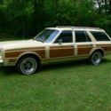 1981 Chrysler Town & Country