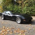 1981 Corvette - 20k Original Miles. Original Paint. Excellent Condition