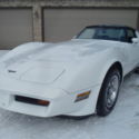 1981 CORVETTE /  4 SPD LOW MILE EXCELLENT CONDITION