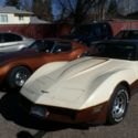 1981 Corvette - 50/74 paint code Frost Beige w/Dark Bronze 98,553 original miles