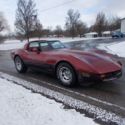 1981 CORVETTE BEAUTIFUL COLOR COMBINATION  49,752 ACTUAL MILES  LOOKS  LIKE NEW