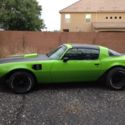 1981 firebird