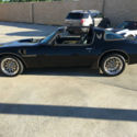 1981 Firebird Trans Am