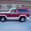 1981 FORD BRONCO XLT 4X4 . 51K MILES . GARAGE KEPT ..