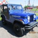 1981 Jeep CJ-5 Base 2dr 4WD SUV