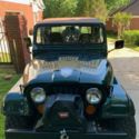 1981 Jeep CJ-5 Golden Eagle Edition