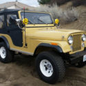 1981 Jeep CJ5 Base Sport Utility 2-Door 4.2L