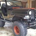 1981 Jeep CJ5 Base Sport Utility 2-Door 5.0L
