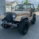1981 jeep cj5 laredo 4.2l