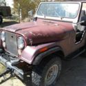 1981 Jeep cj5 project