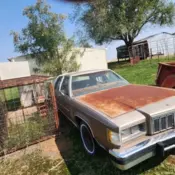 1981 Mercury Grand Marquis Sedan Brown