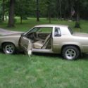 1981 OLDSMOBILE CUTLASS  HOT ROD