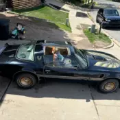 1981 PONTIAC  4spd Firebird Trans Am Special Edition T-tops 1/932 WS6 Y84