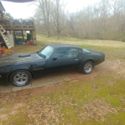 1981 Pontiac Firebird Coupe Black RWD Automatic TRANS AM