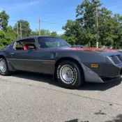 1981 Pontiac Firebird Coupe Grey TRANS AM