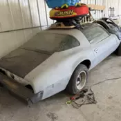 1981 Pontiac Firebird Coupe White SE