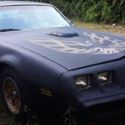 1981 Pontiac Firebird Esprit Coupe 2-Door 4.3L