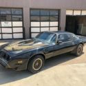 1981 Pontiac Firebird Special Edition Trans Am