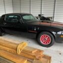 1981 Pontiac Firebird T-top Coupe