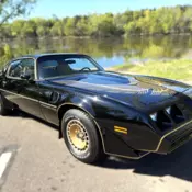 1981 Pontiac Firebird Trans AM &#034;Bandit&#034;