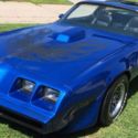 1981 Pontiac firebird Trans am 1978 1979 1980 t tops smokey and the bandit rat