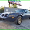 1981 PONTIAC FIREBIRD Trans Am 4.9 V8 FLORIDA NO RESERVE!