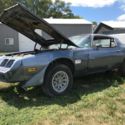 1981 Pontiac Firebird Trans Am 5.0L 4 Speed