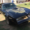 1981 Pontiac Firebird Trans Am Coupe 2-Door 5.0L  ALWAYS GARAGED!!