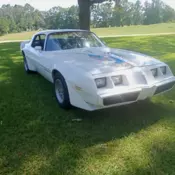 1981 pontiac firebird trans am coupe 2-door