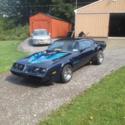1981 Pontiac Firebird Trans Am  NO RESERVE