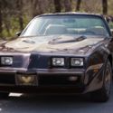 1981 Pontiac Firebird Trans Am - Survivor