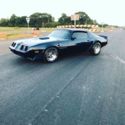 1981 Pontiac Firebird Trans Am TTop 5 Speed Manual Big Block 396