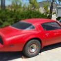 1981 Pontiac Firebird Trans Am Turbo