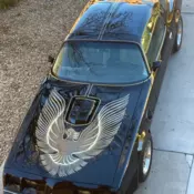 1981 Pontiac Firebird Trans Am Y84 special edition