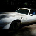 1981 Pontiac Firebird Turbo 301 V8