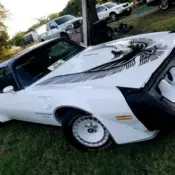 1981 Pontiac Firebird White TURBO TRANS AM